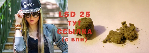 гидра Арсеньев