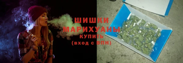 гидра Арсеньев