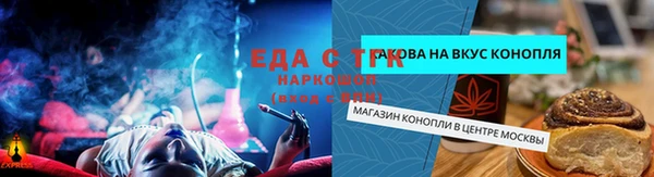 гидра Арсеньев
