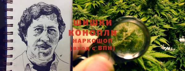 гидра Арсеньев