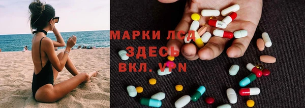 гидра Арсеньев