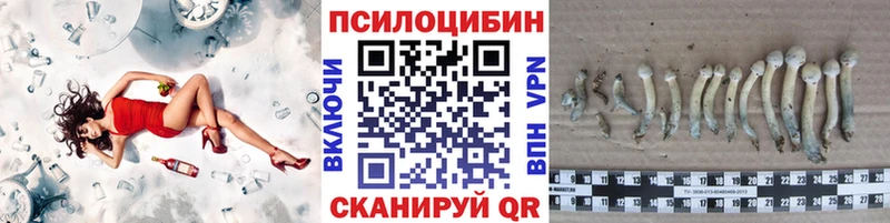 Галлюциногенные грибы Magic Shrooms  mega зеркало  Талица 